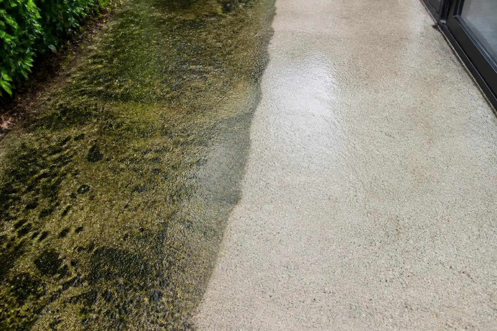 Close-up of a concrete walkway, half stained with mildew and algae, half freshly pressure washed and clean