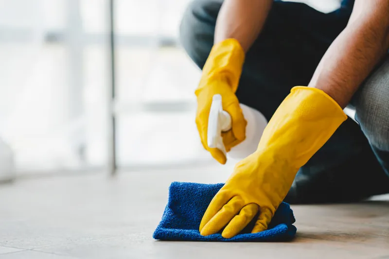 Carpet Cleaning